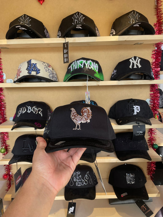 BiggBoss “Gallo Placa”